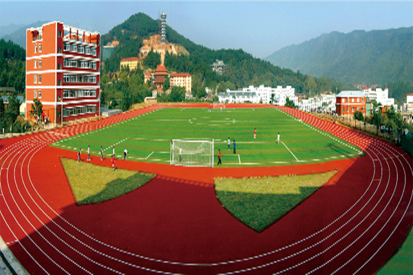 学校专业虫害管理