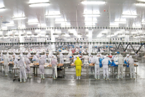 生产制造企业专业虫害管理